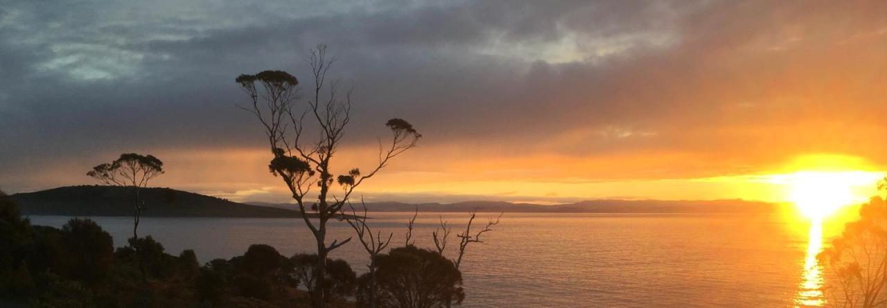 Chill Tasmania White Beach Exterior foto